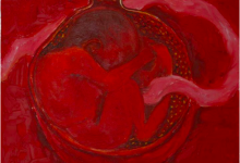 IN UTERO: A film review, and visualization of the prenatal period