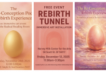 Visualizing Rebirth Through Immersive Art Installations in San Francisco